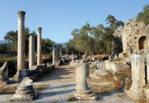 The Good News Reaches Miss Stone